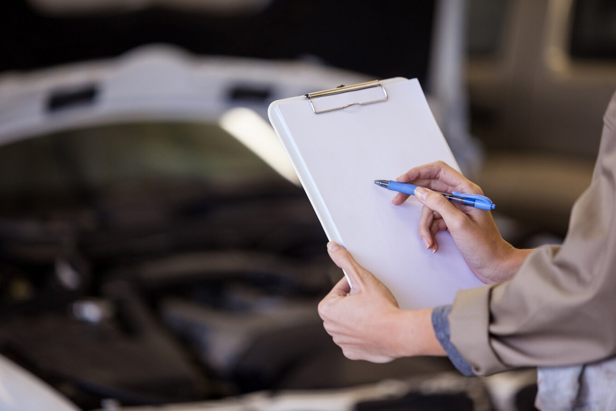 Dacia Auto-Inspektion