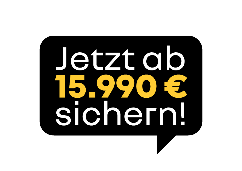 Barpreisangebot Renault Clio